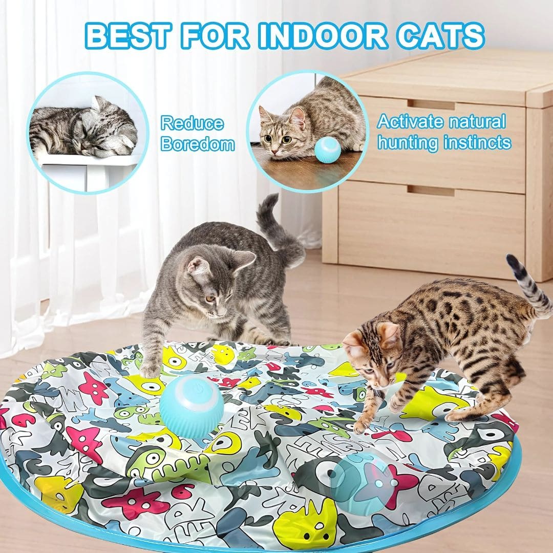 MiauBall™ – La Forma Más Divertida de Mantener a tu Gato Activo