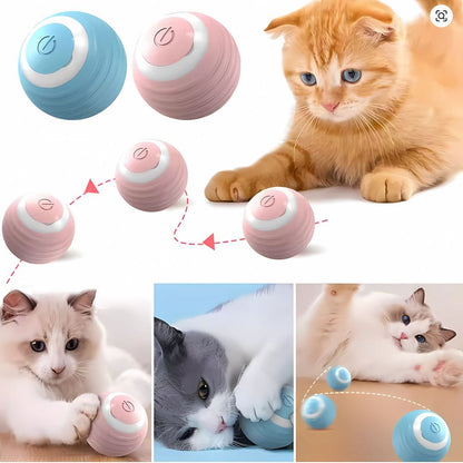 MiauBall™ – La Forma Más Divertida de Mantener a tu Gato Activo