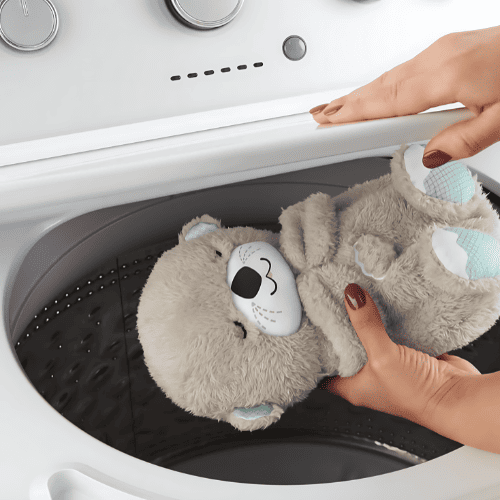 Koala que respira